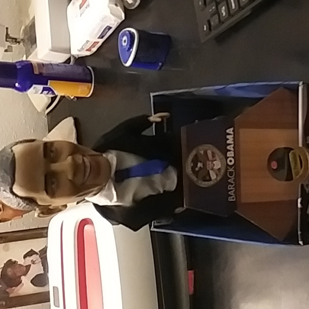 Talking Obama - Picture 3 of 3